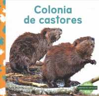 Colonia de castores / Beaver Colony (Grupos De Animales)