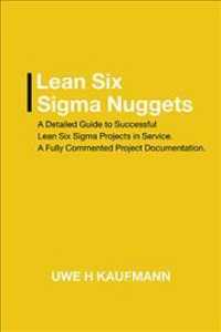 Lean Six Sigma Nuggets : A Fully Commented Project Documentation