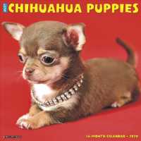 Just Chihuahua Puppies 2020 Calendar （WAL）