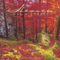 Heaven Has a Forest 2020 Calendar （WAL）
