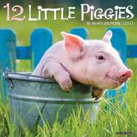 12 Little Piggies 2021 Calendar （WAL）