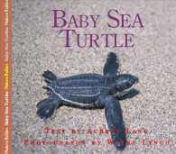 Baby Sea Turtle (Nature Babies)