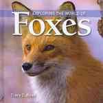 Exploring the World of Foxes