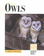 Owls (Endangered Animals & Habitats)