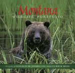 Montana Wildlife Portfolio