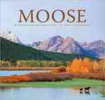 Moose of Yellowstone and Grand Teton