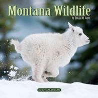 Montana Wildlife 2017 Calendar （WAL）
