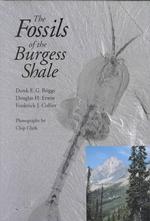 The Fossils of the Burgess Shale （Reprint）