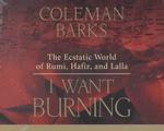 I Want Burning : The Ecstatic World of Rumi, Hafiz, and Lalla （Unabridged）