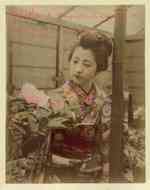 Geisha : A Photographic History 1872-1912