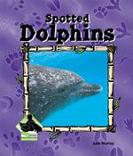 Spotted Dolphin (Animal Kingdom)