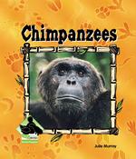 Chimpanzees (Animal Kingdom)