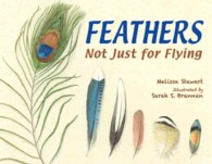 Feathers : Not Just for Flying