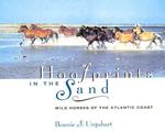 Hoofprints in the Sand : Wild Horses of the Atlantic Coast