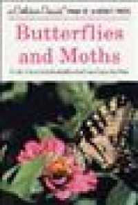 Butterflies and Moths (Golden Guides) （Updated）