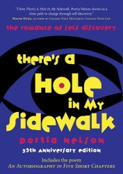 There's a Hole in My Sidewalk : The Romance of Self-Discovery （35 ANV）