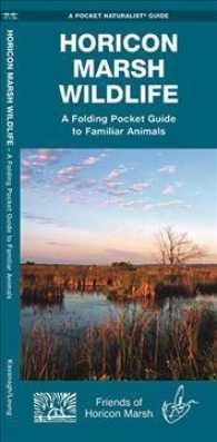Horicon Marsh Wildlife : An Introduction to Familiar Species (Pocket Naturalist Guides) （FOL LAM CH）