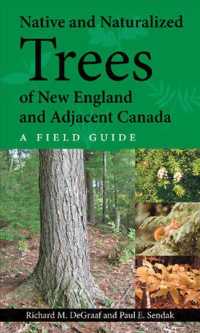 Native and Naturalized Trees of New England and Adjacent Canada -- Paperback / softback