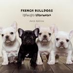 French Bulldogs : Lightweights Littermates