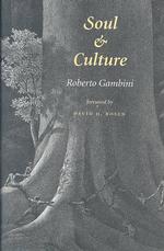 Soul and Culture (Carolyn & Ernest Fay Series in Analytical Psychology)