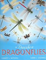 A Dazzle of Dragonflies