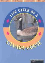 Canada Goose (Life Cycles (Rourke Paperback))