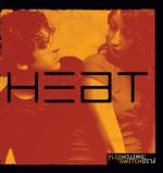 Heat : A Graphic Reality Check for Teens Dealing with Sexuality (Flipswitch Series)