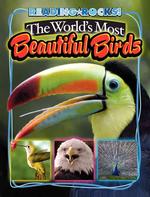 The World's Most Beautiful Birds (Reading Rocks!)