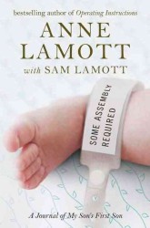 Some Assembly Required : A Journal of My Son's First Son