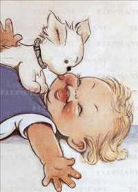Dog Kissing Baby : Greeting Card 6 Cards Individually Bagged with Envelopes and Header (Birthday) （CRDS）