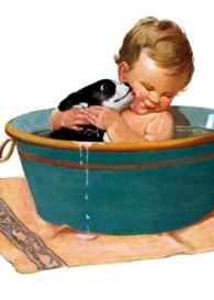 Puppy and Baby in Bath Friendship Greeting Card (Friendship) （FLC CRDS）