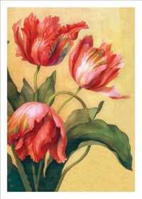 Tulips Thank You Card (Thank You) （CRDS）