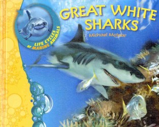Great White Sharks (Life Cycles of Marine Animals)