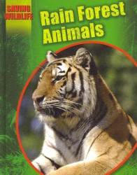 Rain Forest Animals (Saving Wildlife)