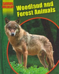 Woodland and Forest Animals (Saving Wildlife)