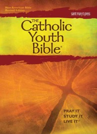 The Catholic Youth Bible : New American Bible （3 Revised）