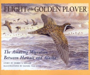 Flight of the Golden Plover : The Amazing Migration between Hawaii and Alaska