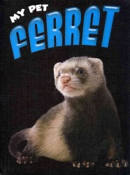 Ferret (My Pet)