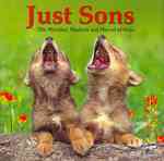 Just Sons: the Mischief, Mayhem and Marvel of Boys
