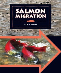 Salmon Migration (Animal Migrations)