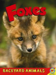 Foxes (Backyard Animals)