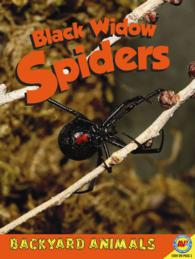 Black Widow Spiders (Backyard Animals)
