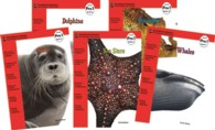 Level Pre 1 Bundle 2 (5-Volume Set) (Riverstream Readers, Level Pre 1)