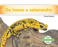 De huevo a salamandra / Becoming a Salamander (Animales que cambian / Changing Animals)