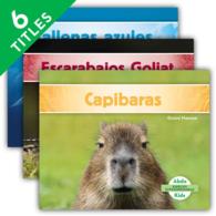 Especies extraordinarias/ Super Species (6-Volume Set) (Especies extraordinarias/ Super Species)