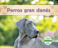 Perros gran dans/ Great Danes (Perros/ Dogs)
