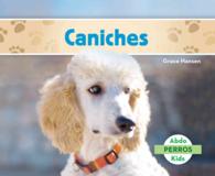 Caniches/ Poodles (Perros/ Dogs)