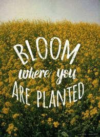 Bloom 2017 Academic Planner （EGMT SPI）