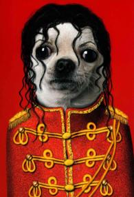 Pets Rock 2017 Academic Planner （EGMT SPI）