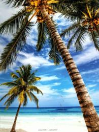 Tropical Beaches 2017 Academic Planner （EGMT SPI）